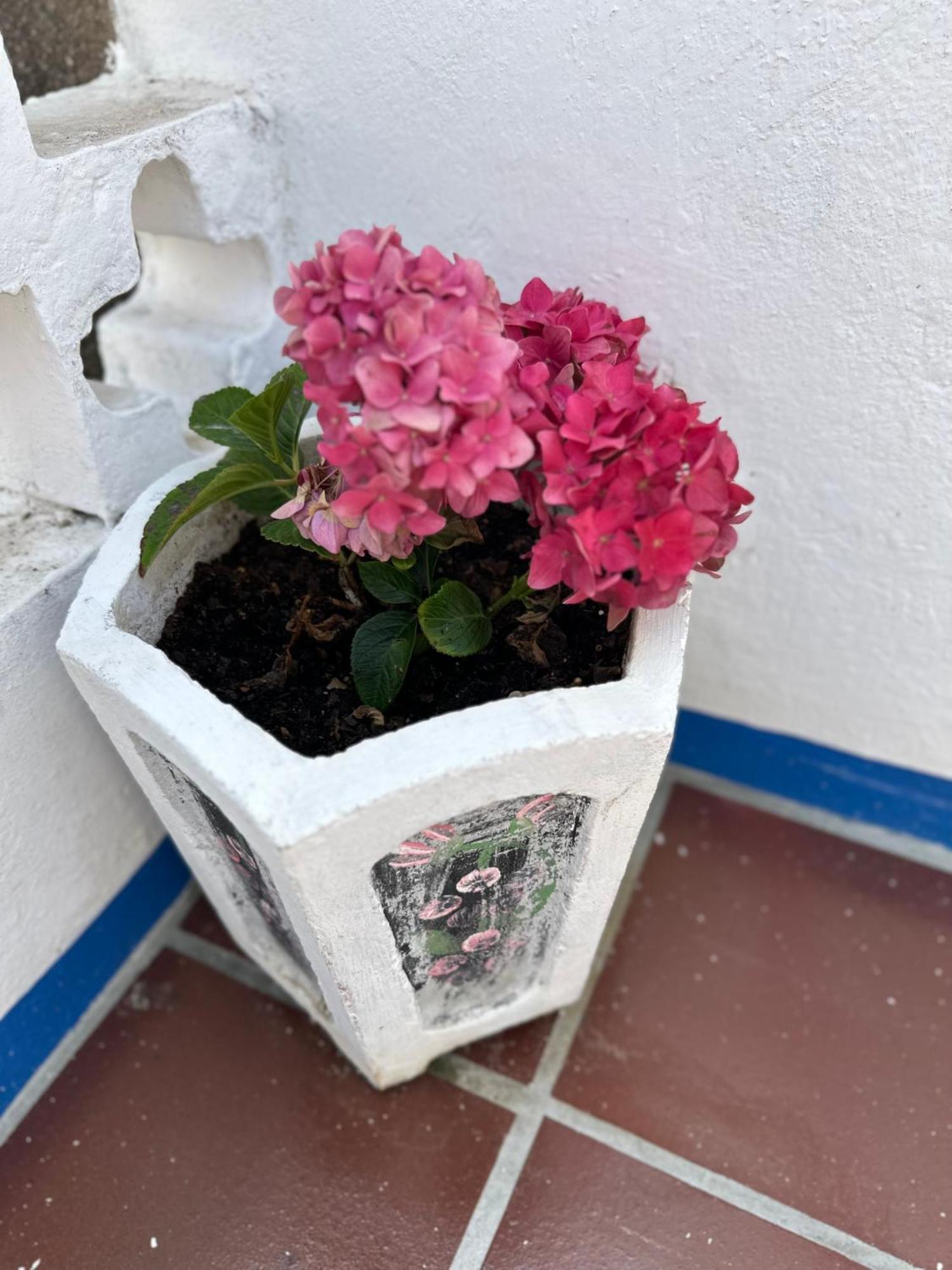 Casa Do Poco Bed and Breakfast Όμπιδος Εξωτερικό φωτογραφία